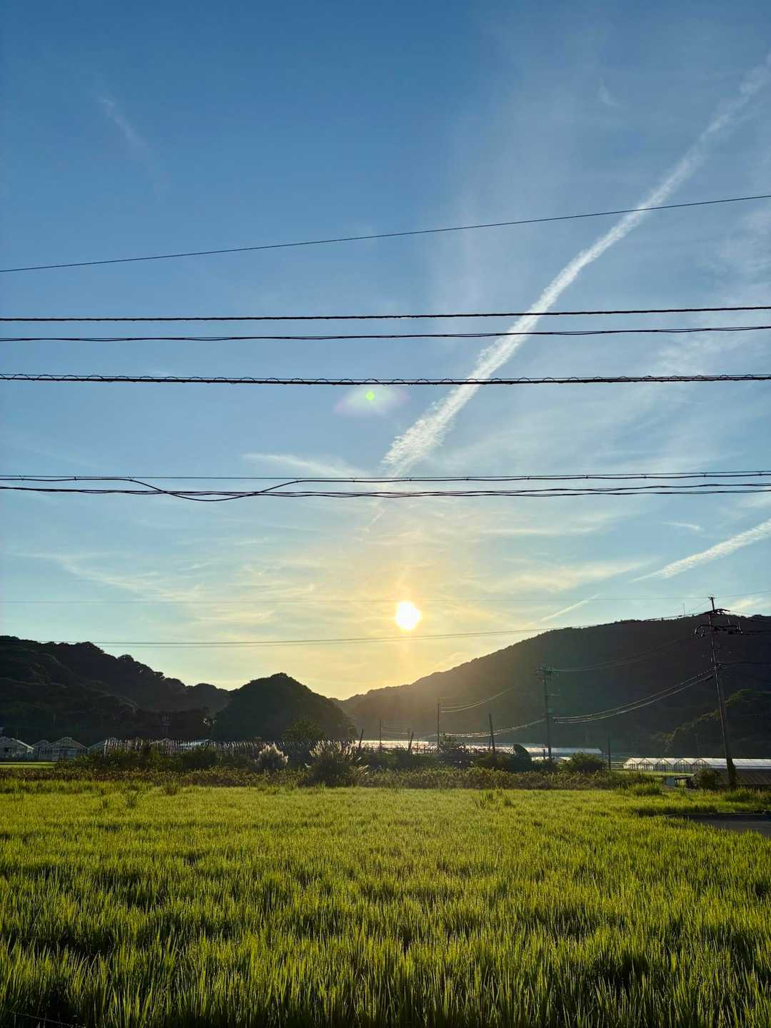 のどかな田園風景と朝日を見ながらテクテク👣