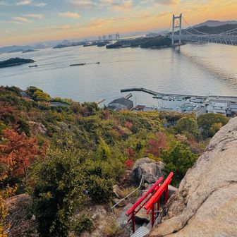穴場稲荷⛩️鳥居が真下に見える
降り方がわからない…後で下から来てみる🤔
