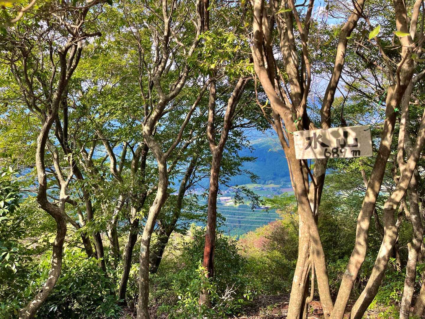 水山山頂