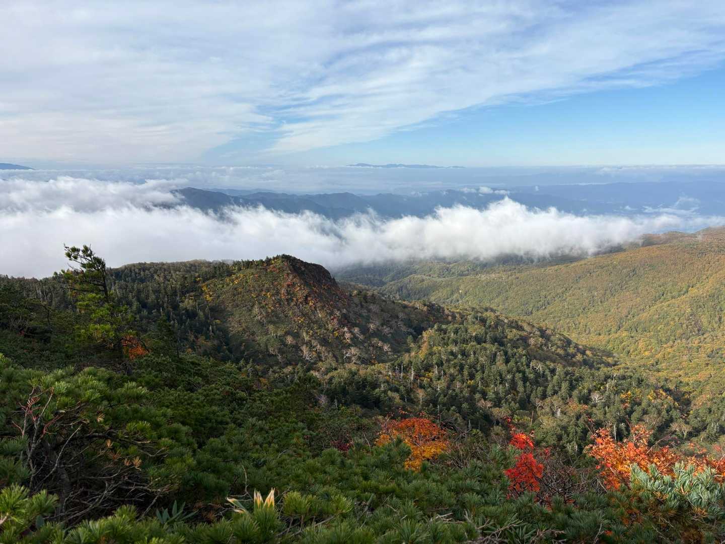 前山山頂からの眺望