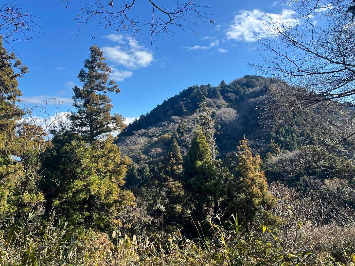花沢山を眺めて満観峰へ。