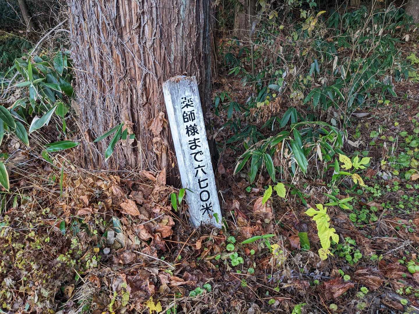 墓地を通り登山口がありました！