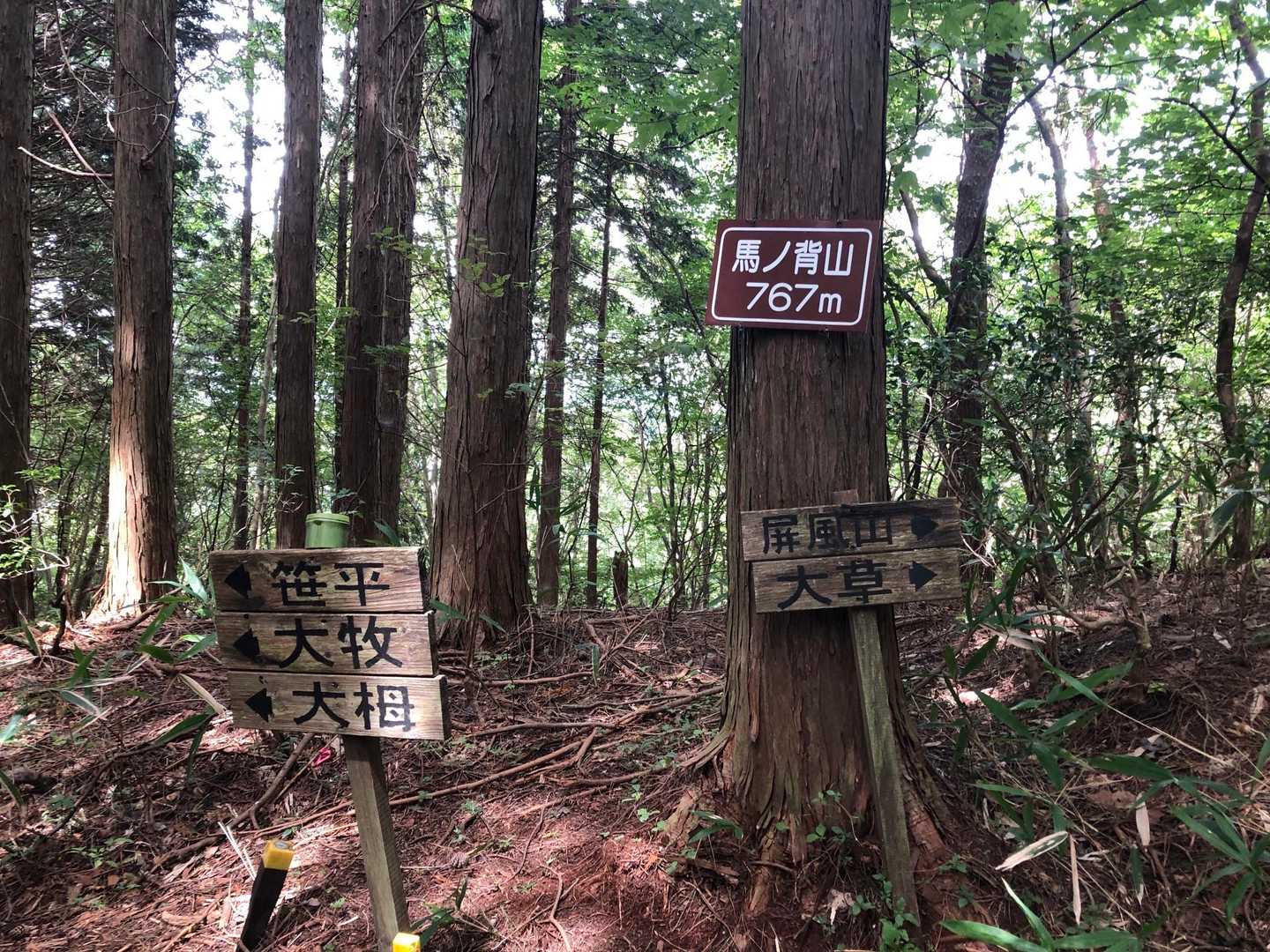 屏風山-大草口 周回コースの写真