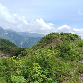 右側のピークが五龍岳。山頂標識は無かった。五龍岳から左に中ノ岳への縦走路が続いている。