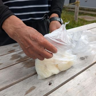 竜門小屋の休憩でHさんが梨をご馳走
してくれました🤣
バテていたので力がつきました😆