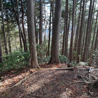 ロープより先はルート間違え