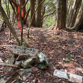 ヒバンダーラ到着✨