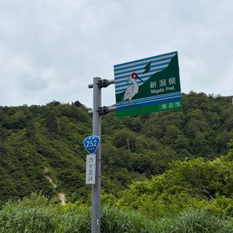 こちら新潟💁‍♀️