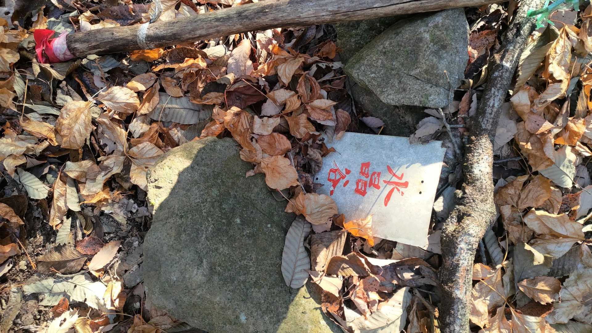 左手…水晶谷