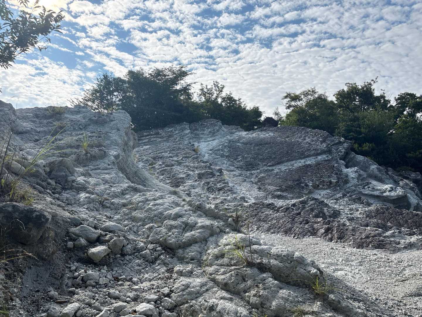 穴虫峠-ダイトレ北入口-二上山 往復コースの写真