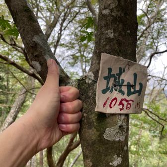 城山 登頂👍️