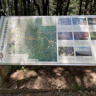 ”大野城跡”の西側が大野城市だ！と。