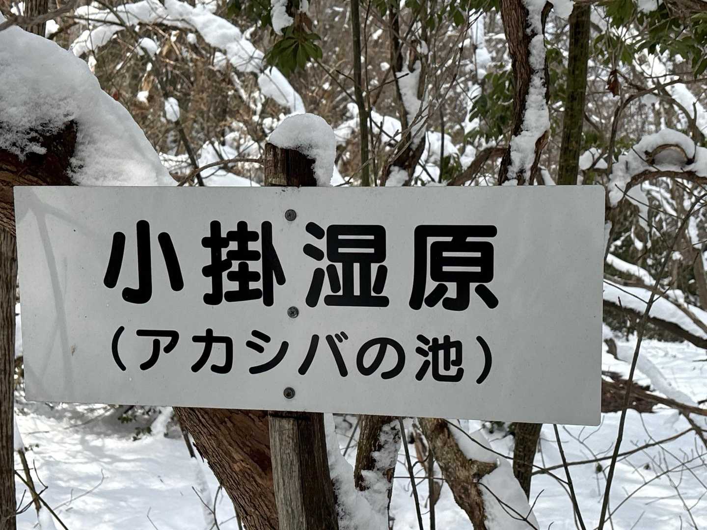 堂床山-西冠山-冠山-可部峠-小掛山-中倉峠 周回コースの写真