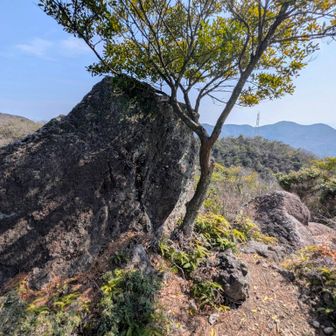 ちょっと寄り道して獅子岩🦁
どこから見たら獅子に見えるのかぐるぐるしたけどよく分からん😅