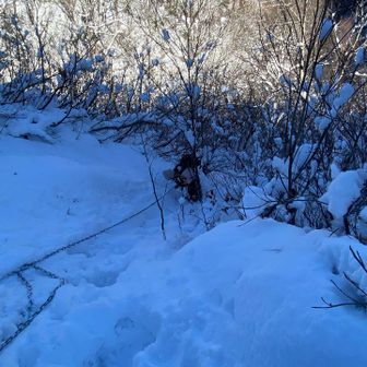 鎖も足場も滑るね😱