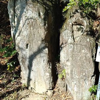 おじょもの足跡