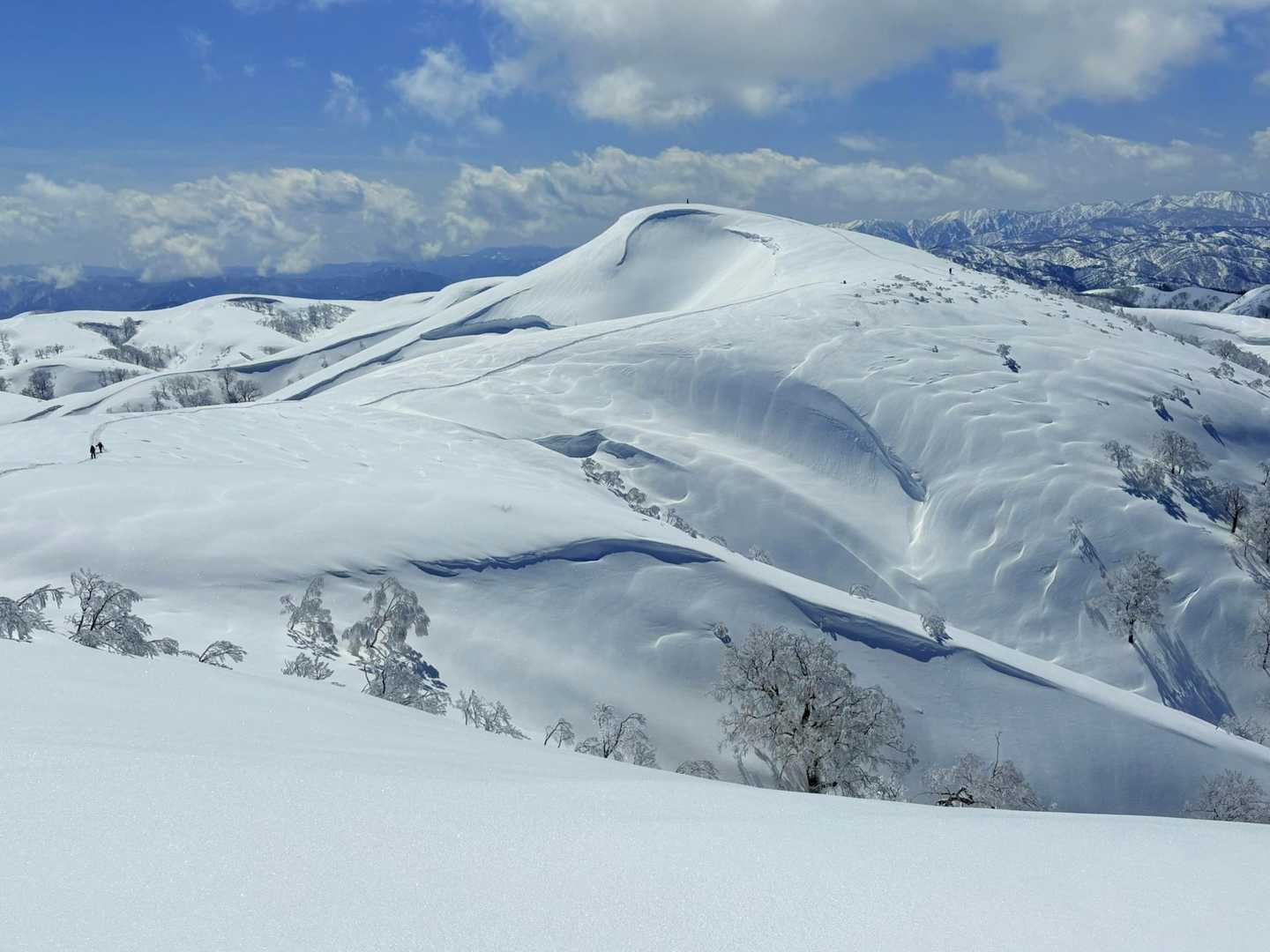 栃谷登山口-片折岳-金剛堂山-中金剛堂山 往復コースの写真
