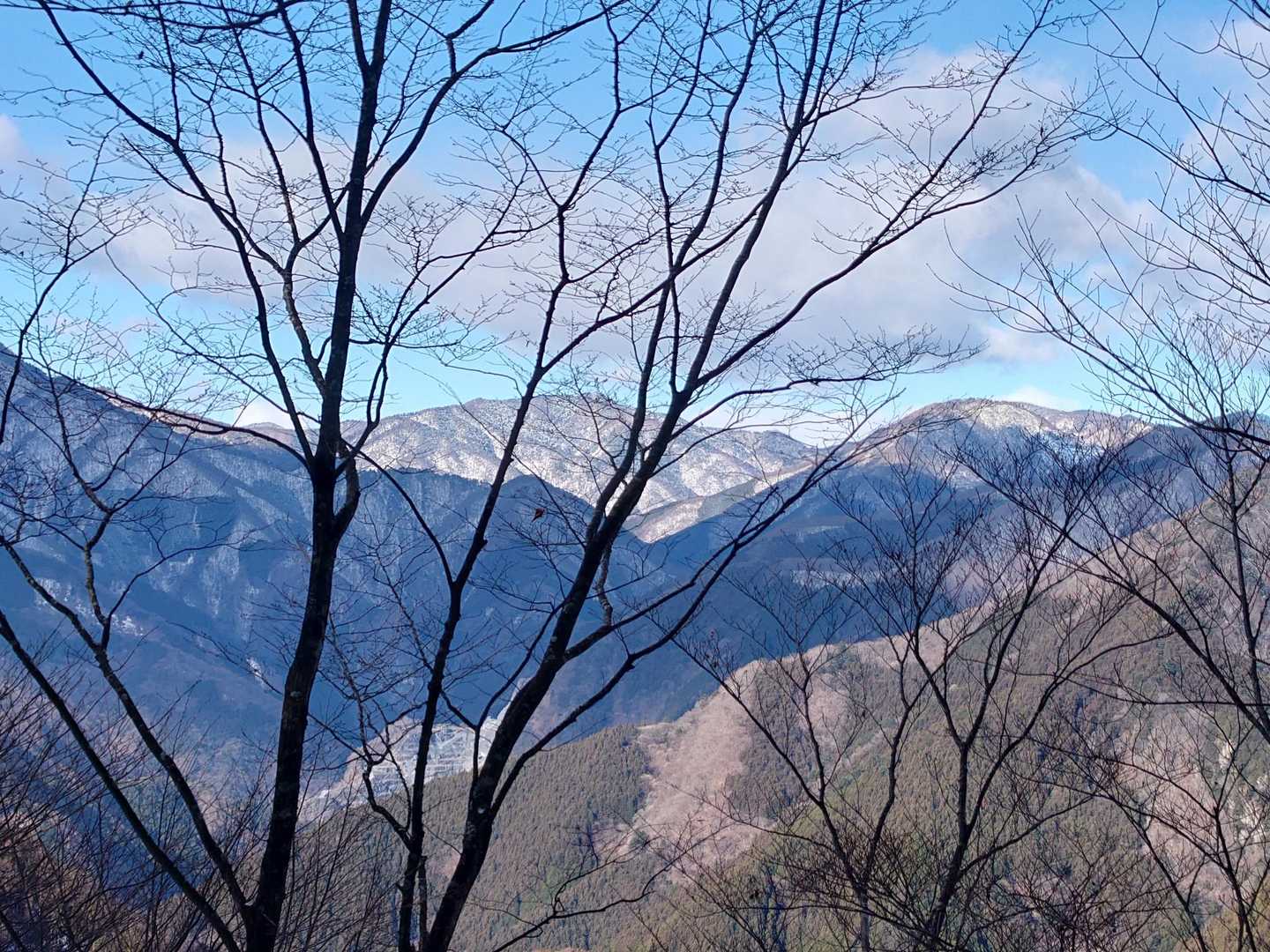 雲取山への稜線も雪化粧してます❄