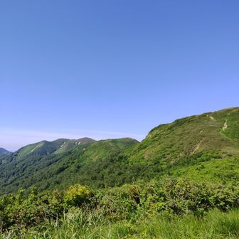 ちょっと登ってまた整置🧭
この後も何回も繰り返してやるので身につきます！