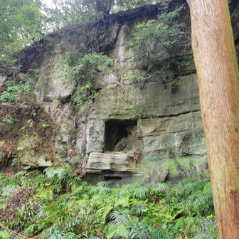 ここラピュタ。