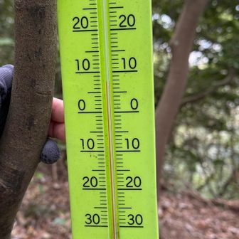 8℃
少し風あると涼しい