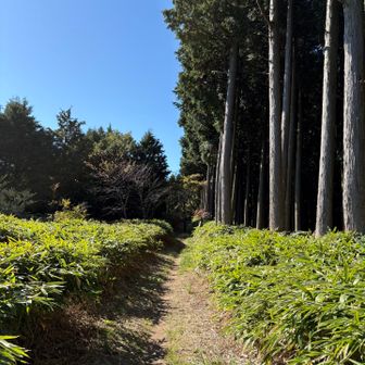 この下の町から上がって来ましょう^ ^
北宇智駅を思いながら歩いています😉