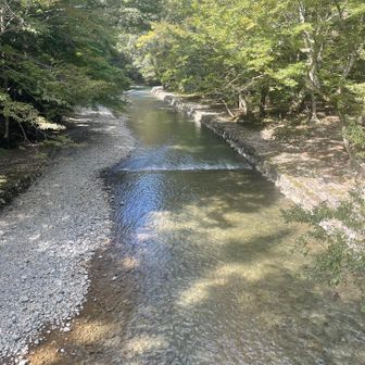 水がきれい