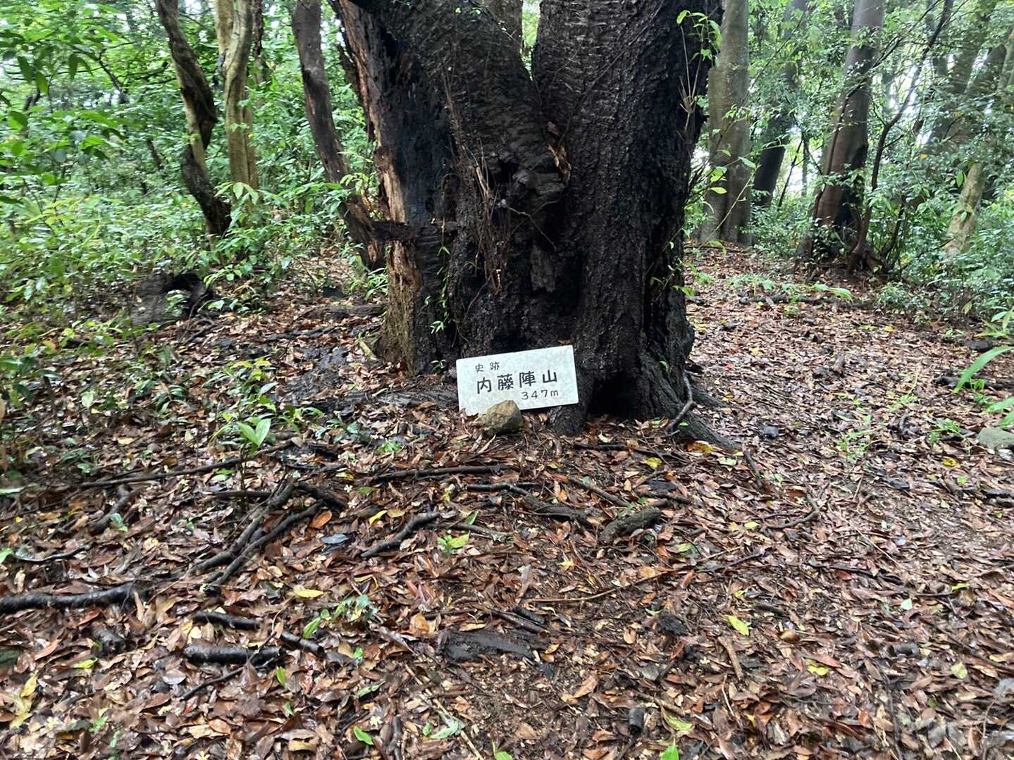内藤陣山の写真