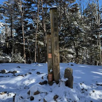 大菩薩嶺に到着