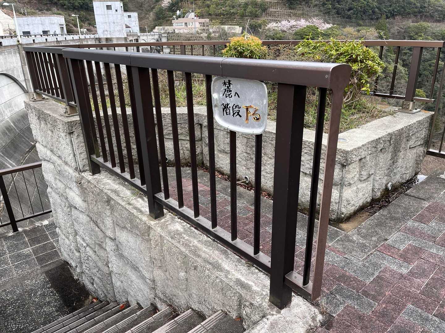 前は通れなかった階段が😱
しかし降りる勇気なく。。。