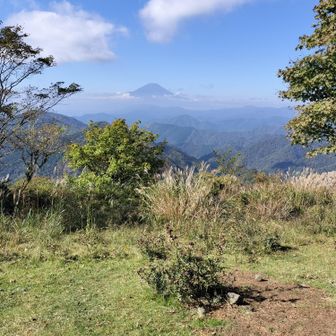 鍋割山から見た富士山🗻✨️