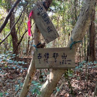 左側の墓跡の後ろにあった　さんちょー③ こそぢやま　不気味だ😨