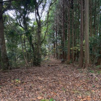 サジキ塚の更に奥には行けないみたいでロープが張ってありました、YAMAPメモの通行止めってこれのこと？