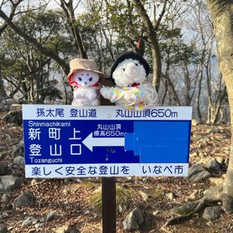 丸山山頂に着いたよ〜