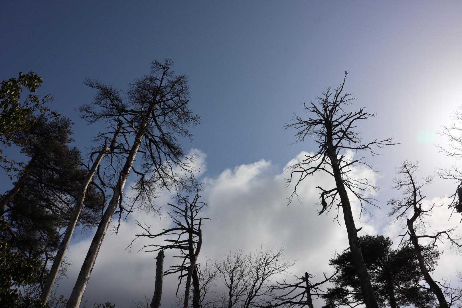 二本松か⁉️ここがピークか⁉️

YAMAP確認📱はやとちりでした←焦りすぎ