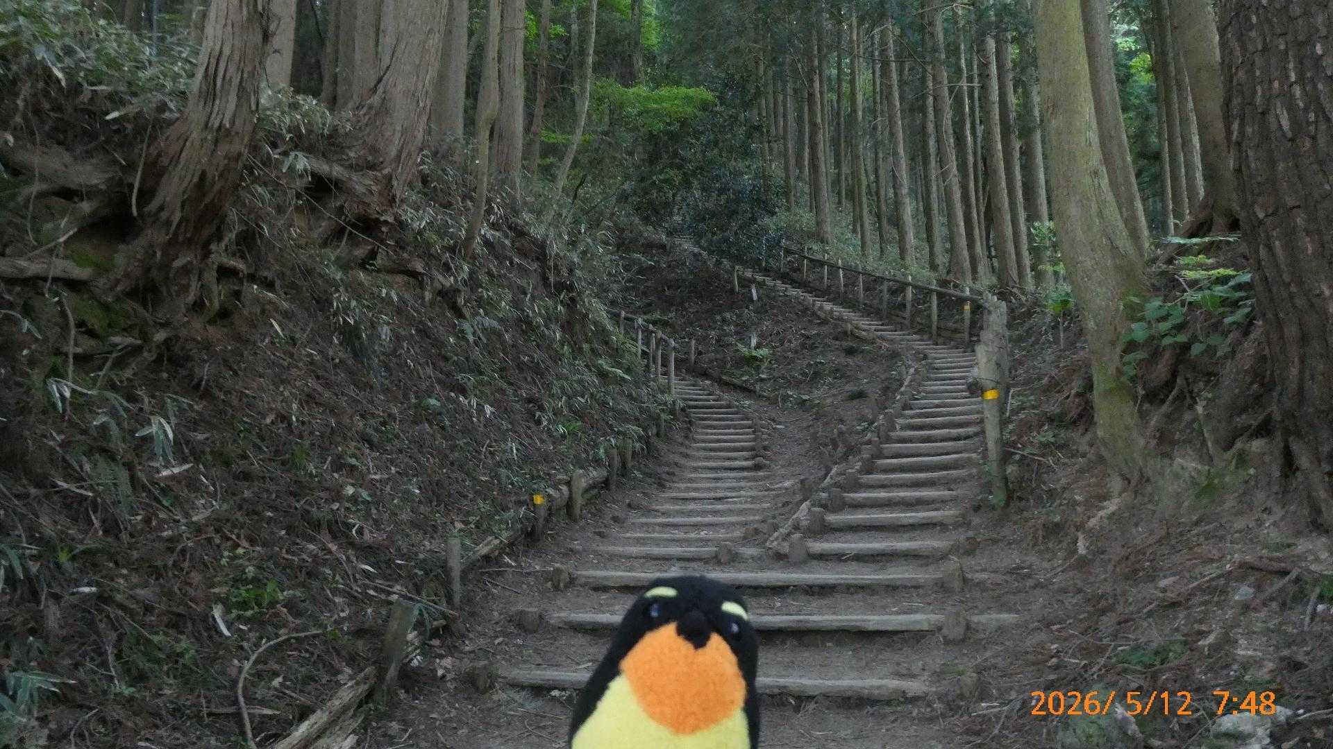 階段ばかり、気合いが入ります！