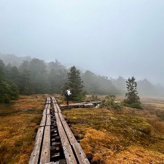 広々とした湿原に癒されます