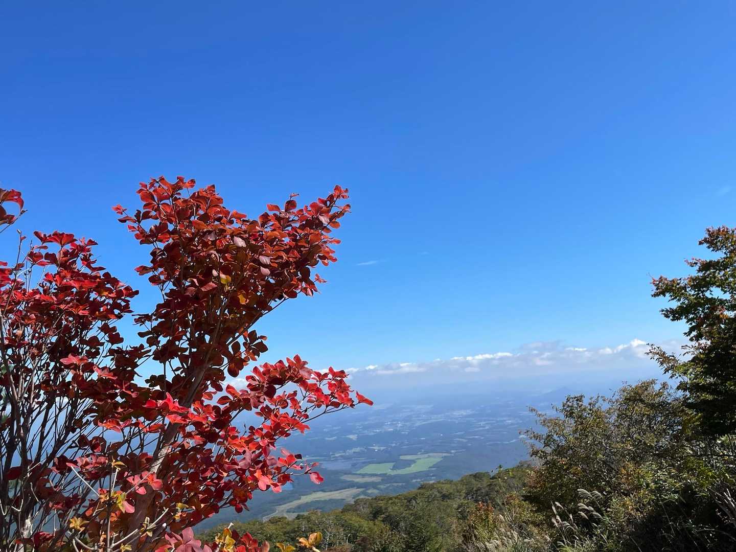 旧白河高原スキー場登山口-赤面山 往復コースの写真