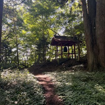 荘厳ですな