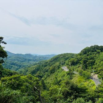 雲が厚い🤣