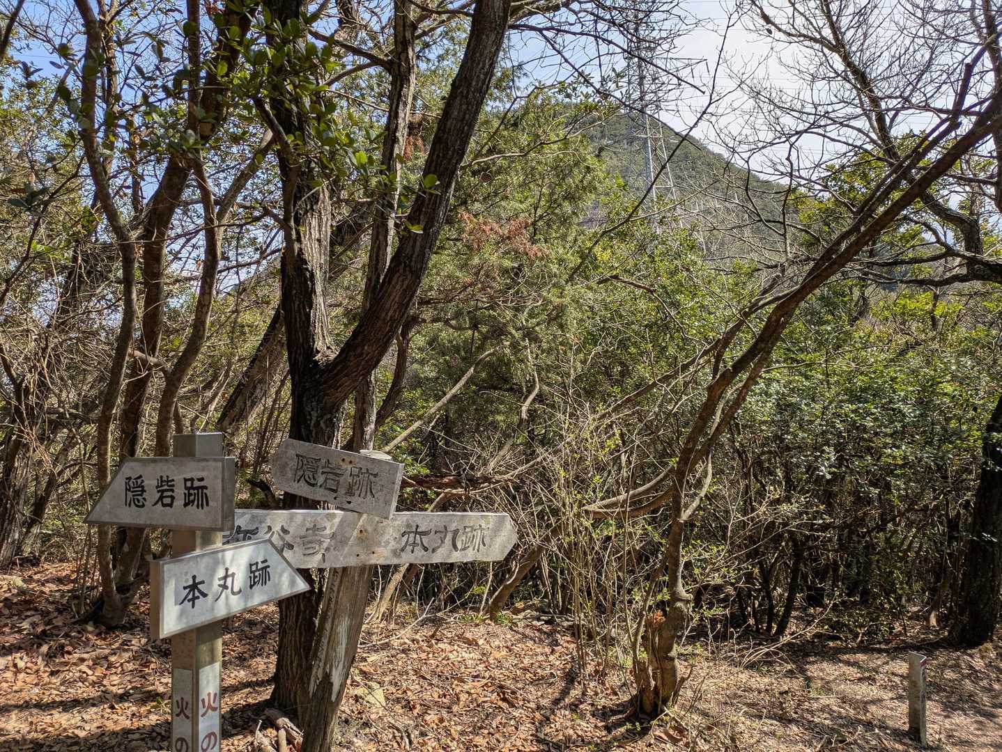 あれが山頂でしょうか？
こう見ると、遠く感じる💧