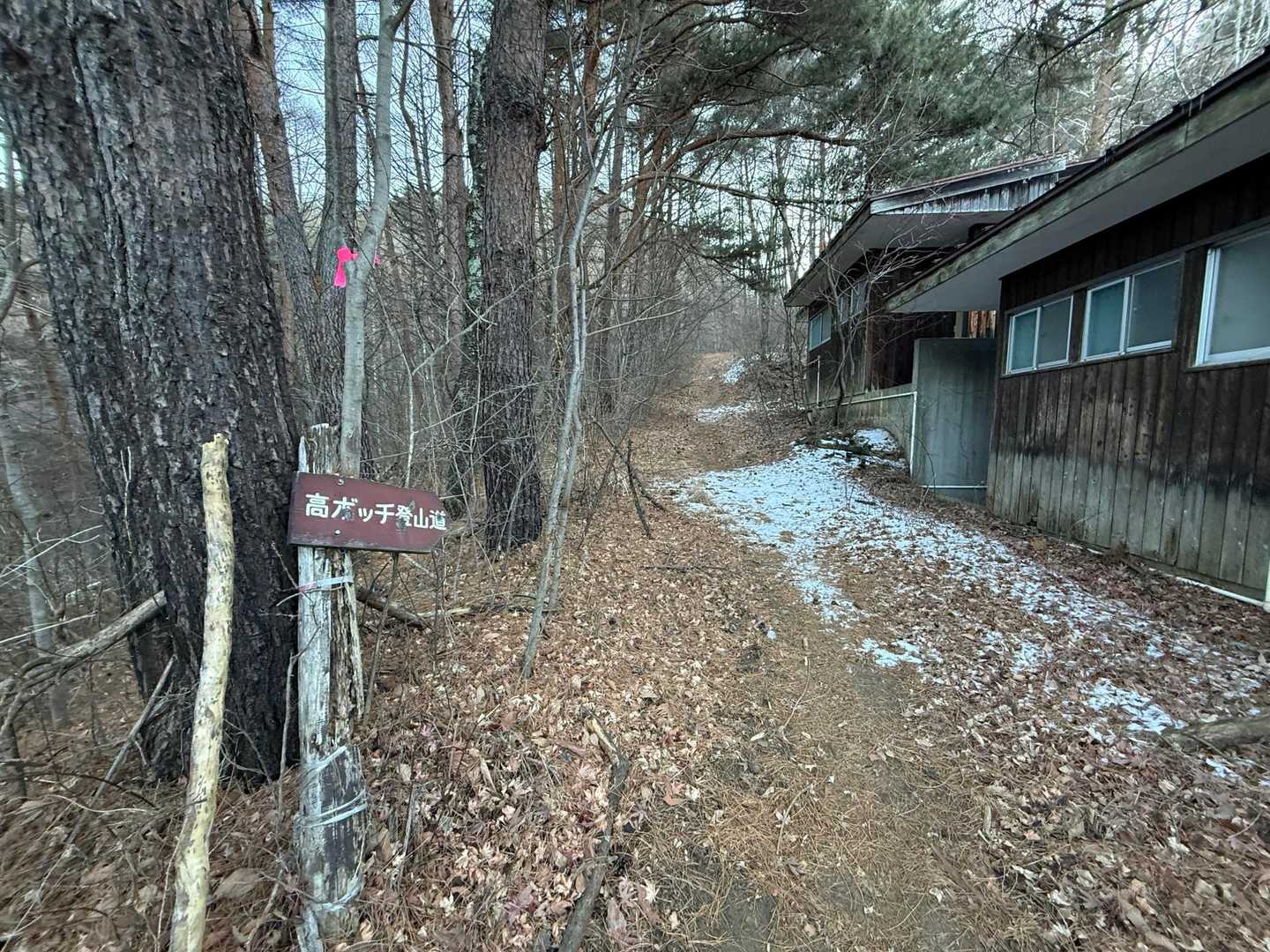 高ボッチ山 | 諏訪湖を眼下に富士山を望む展望峰。山頂は花が彩るのどかな牧草地の写真