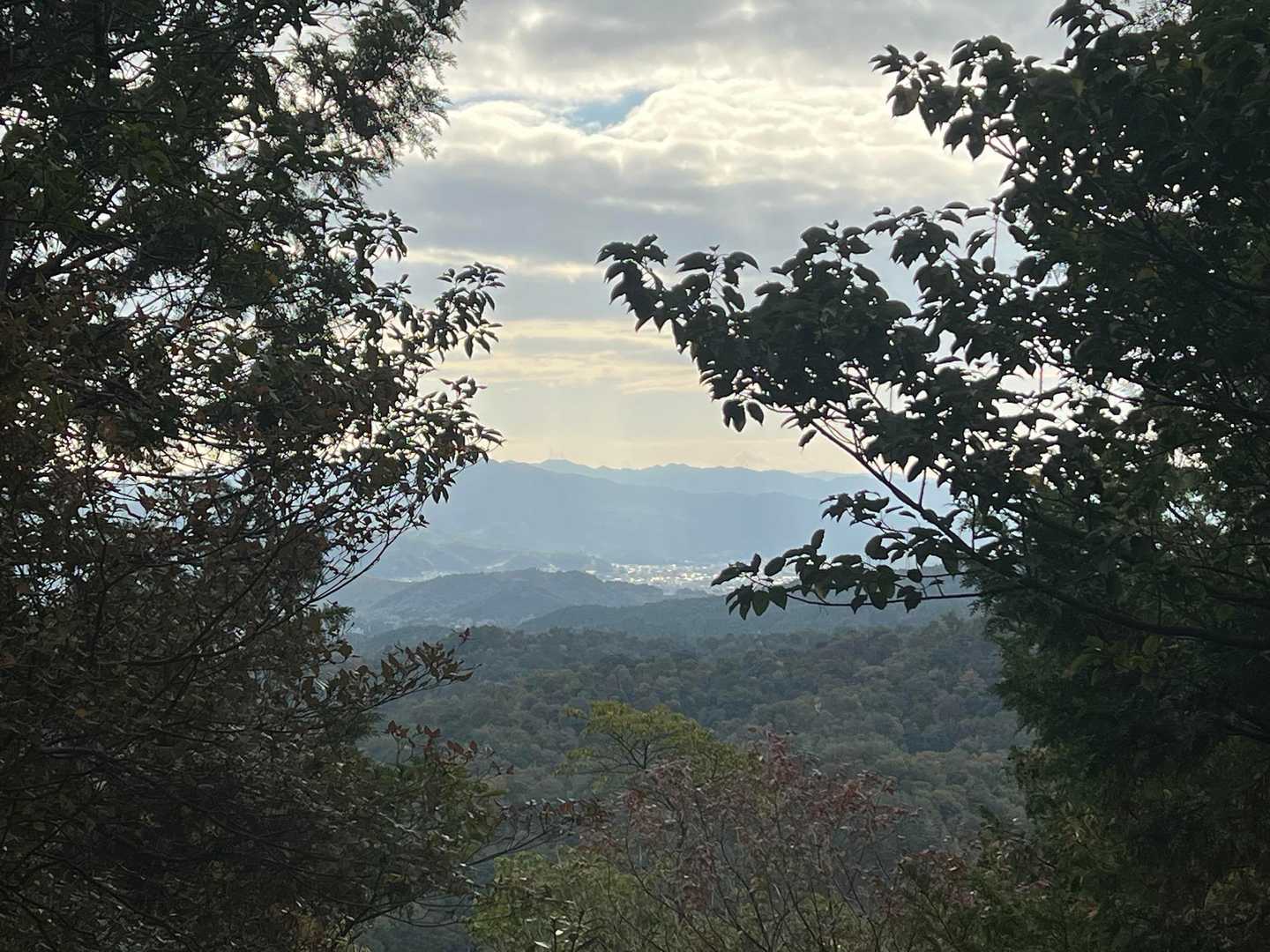 京都の街並みは光ってる