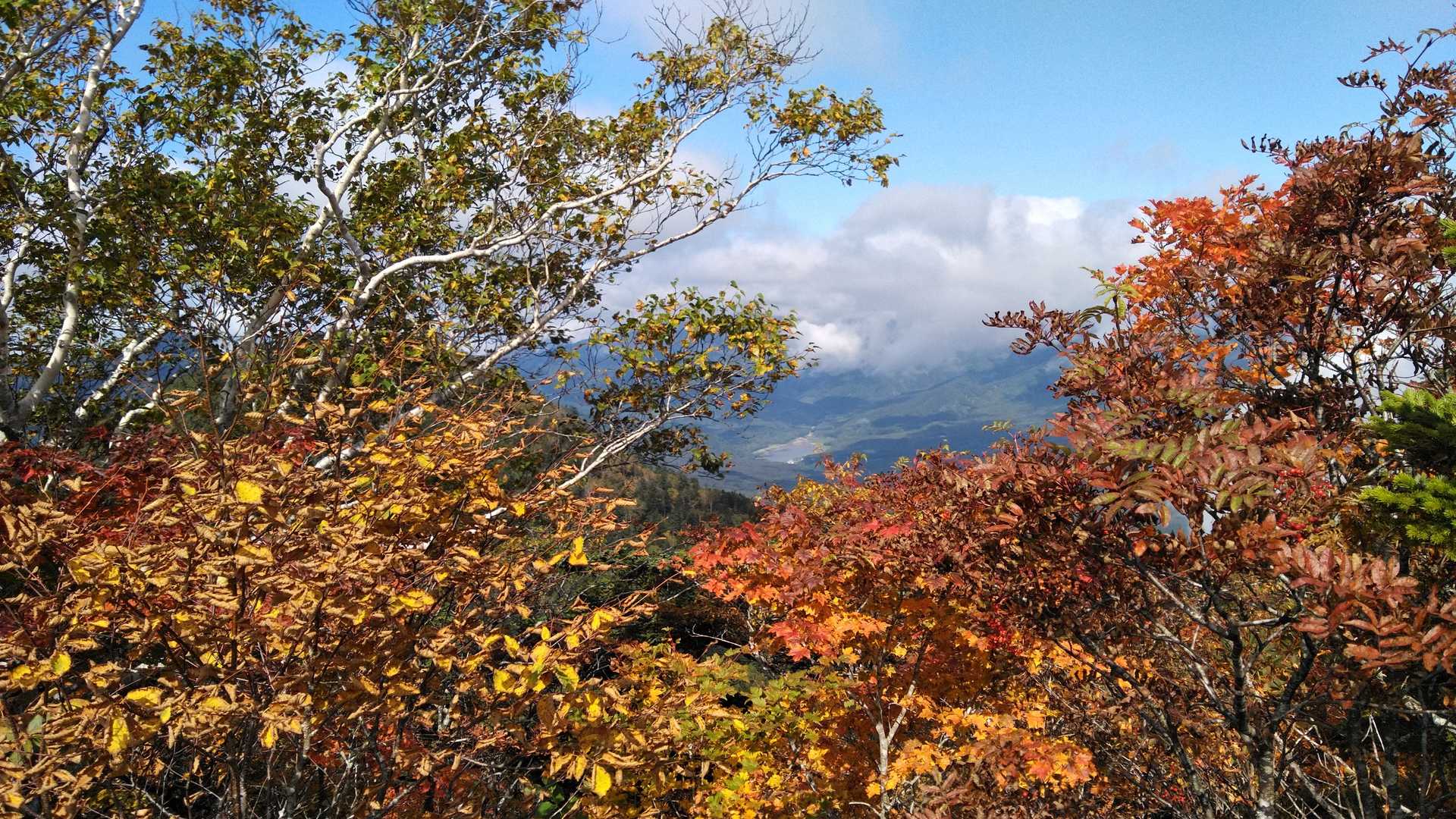 大橋登山口-種池-黒姫山-西登山口 周回コースの写真
