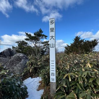 多里大山（持丸山）登頂⛰️