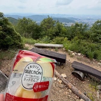 今日は遠くがぜんぜん見えない
けどその分暑くなくて👍
冷えたりんご🍎