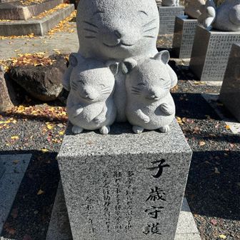 子年の53歳🐹チュー