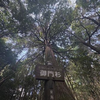 サクサク下山しました。

御嶽山に行く予定でしたが
来年にします。
小屋泊してみるのもいいね！

次回は紅葉の鈴鹿方面へ行きます！
竜ヶ岳か北鈴岳〜御池岳かなぁ