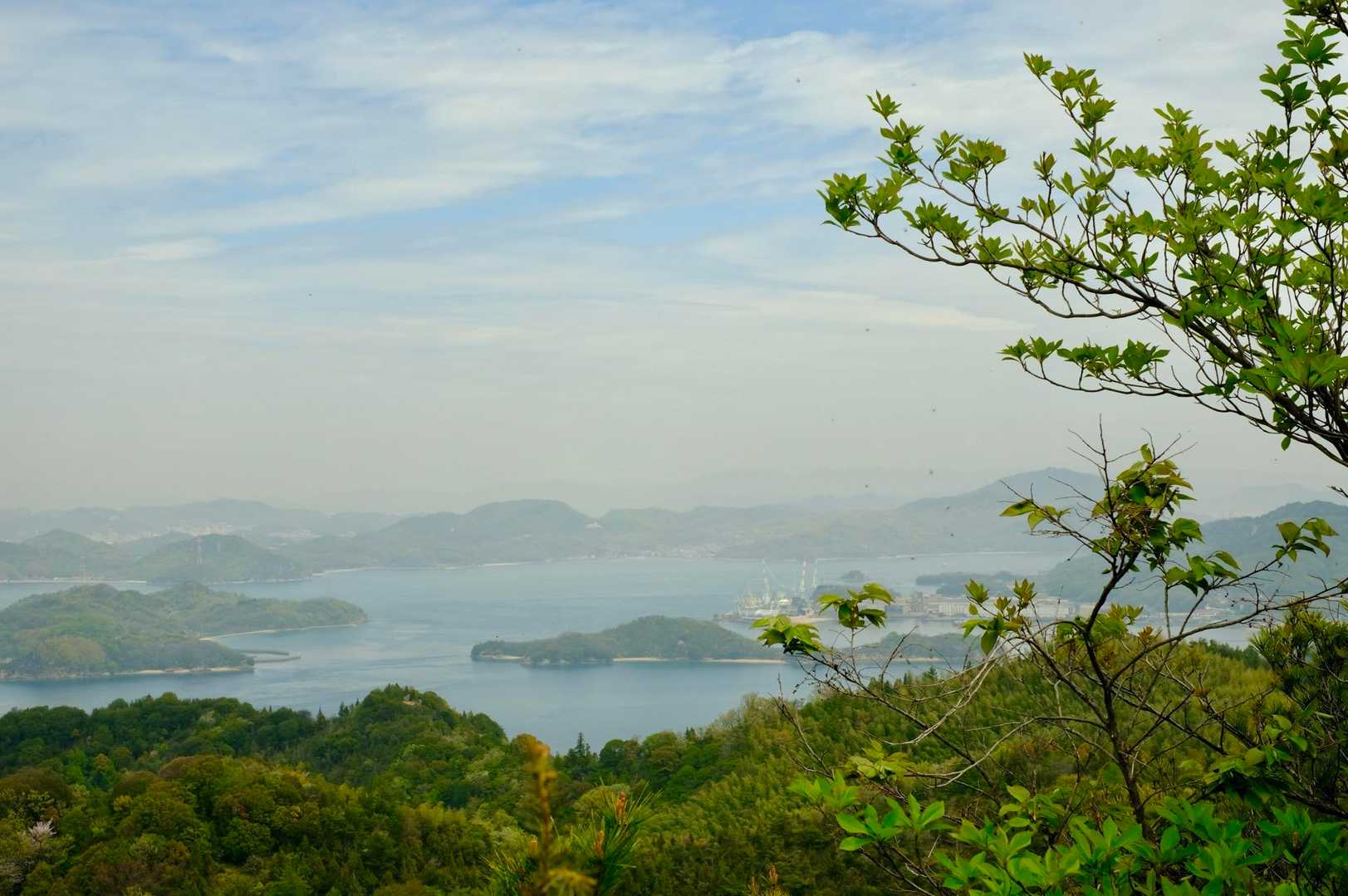 空が青かったらもっときれいなんだろうね！