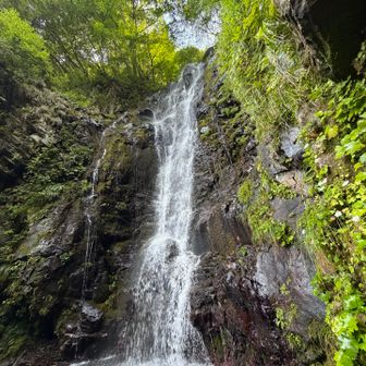 登山道脇の大滝